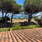 Domaine U Pozzu *