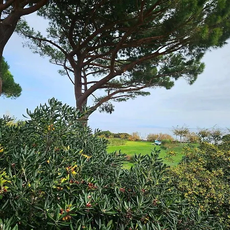 Διαμέρισμα Domaine U Pozzu